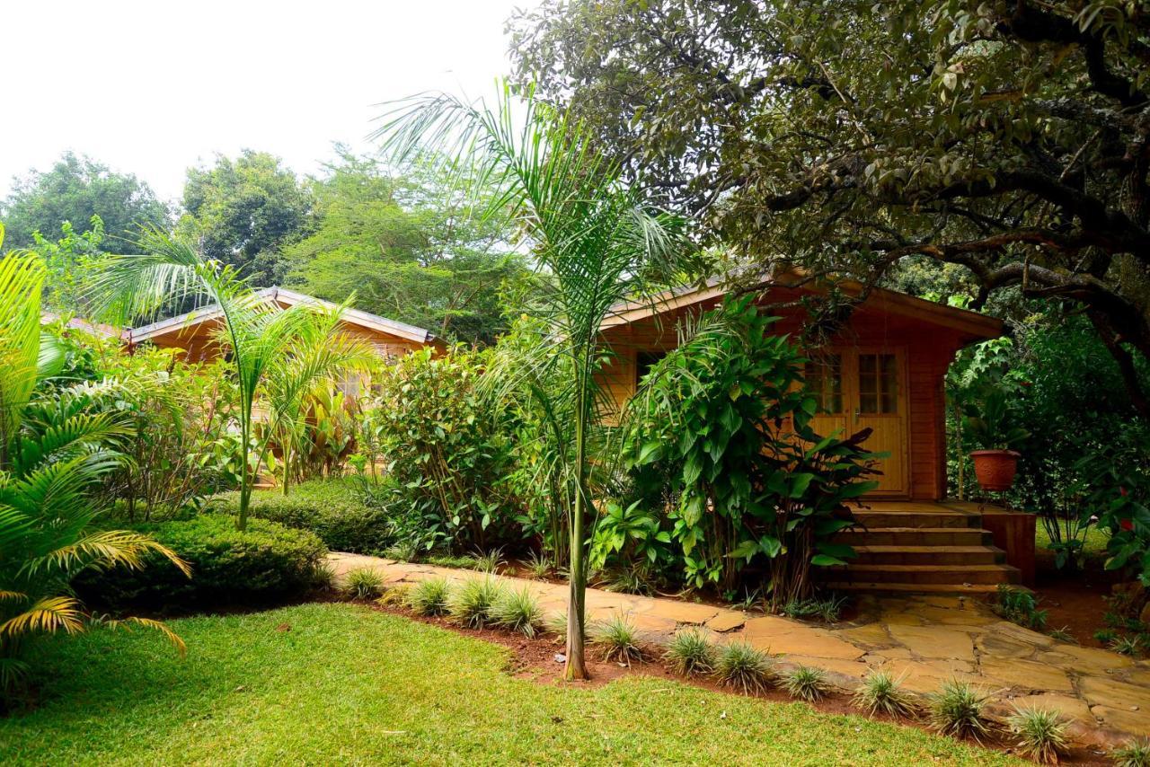 Severine Cottages And Lounge Ltd Ναϊρόμπι Εξωτερικό φωτογραφία